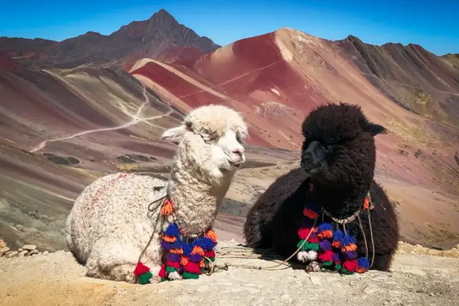 Encantos del Perú